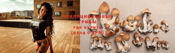 спайс Михайловка