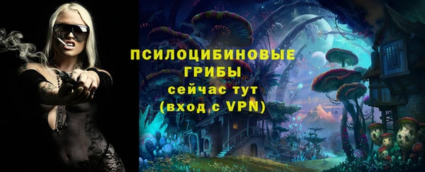 спиды Алзамай
